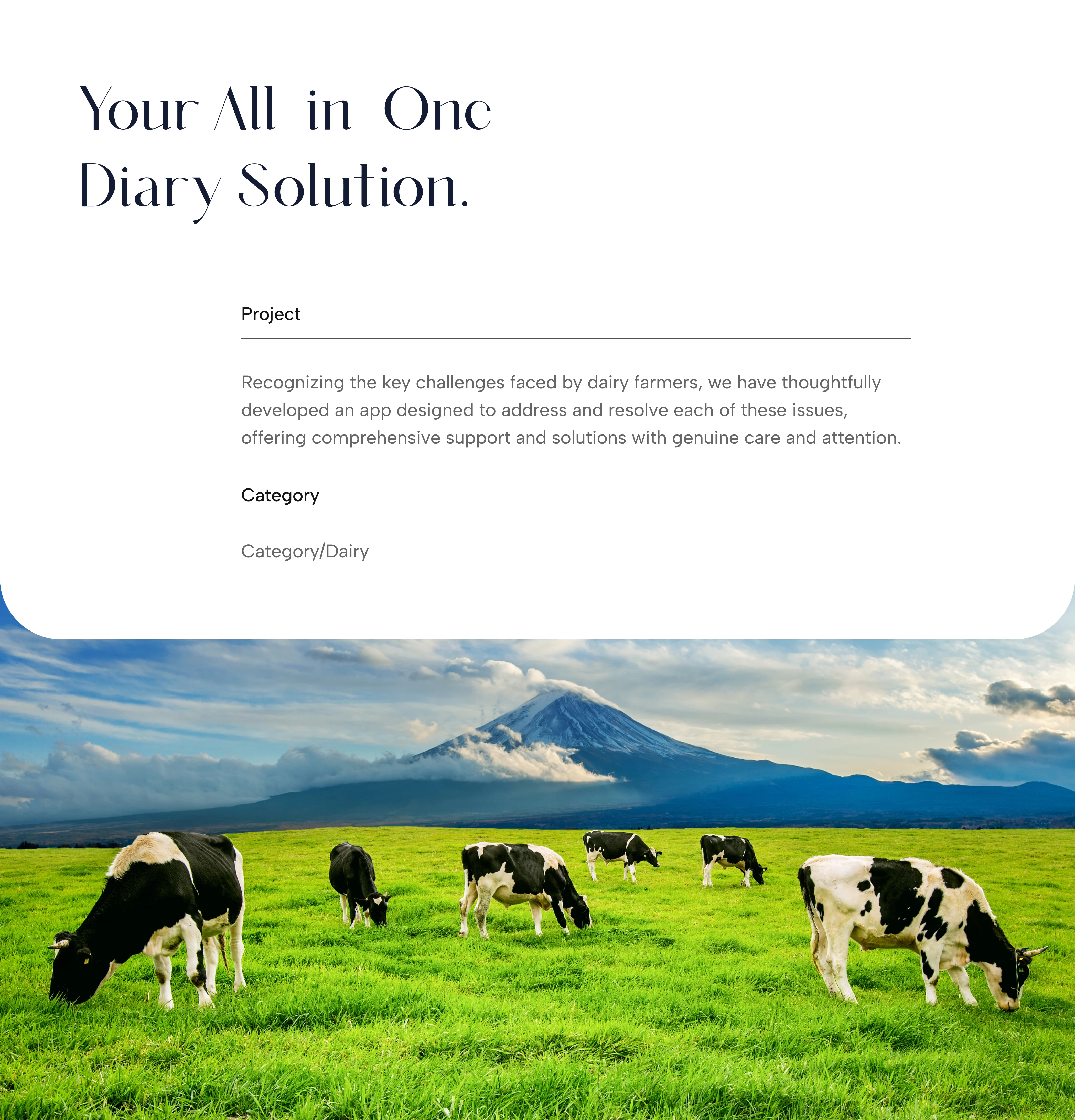 All in One Dairy Solution